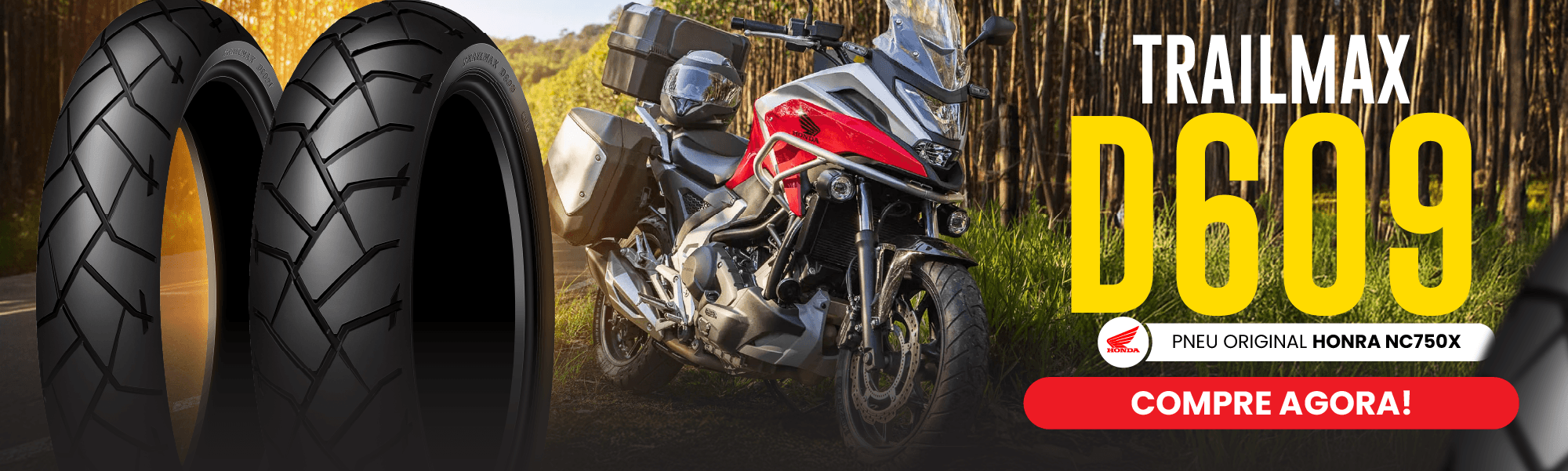 Pneus de Moto TrailMax D609